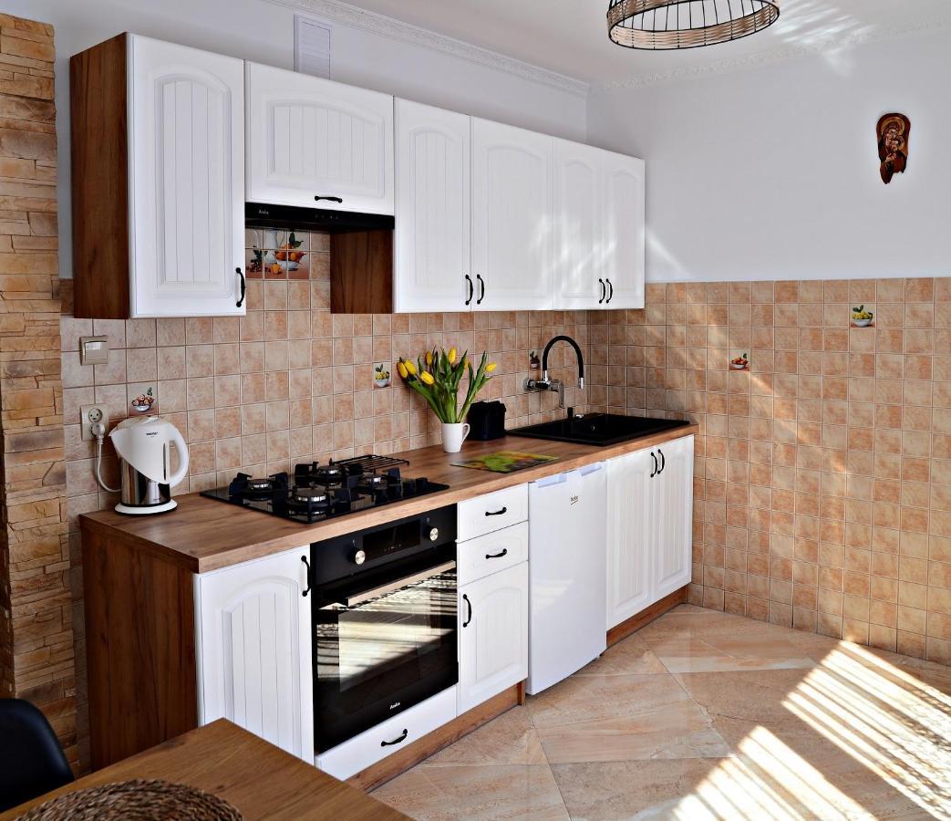 Apartament Z Tarasem I Pokoje Klimatyzowane -Drozdowka Solina Solina  Esterno foto